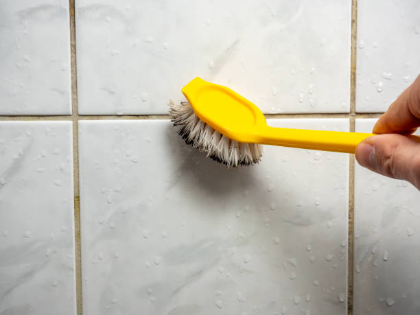 Best Emergency Mold Remediation in Beaverton, OR
