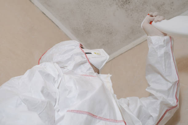 Best Post-Flood Mold Remediation in Beaverton, OR